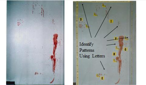 bloodstain pattern analysis blood documentation evidence