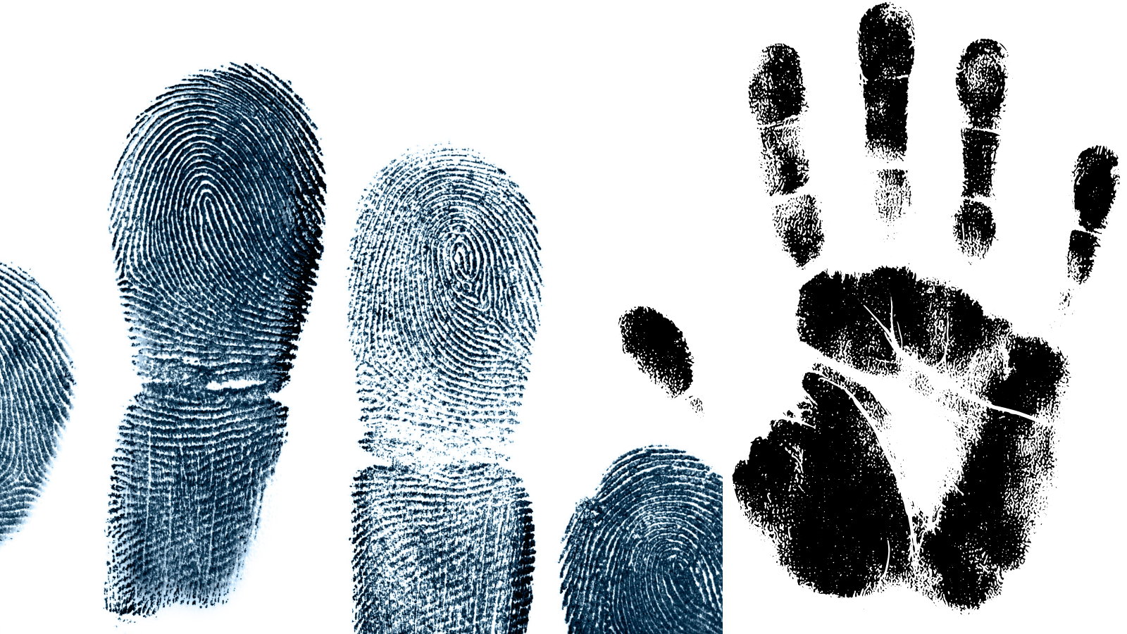 An animated graphic of fingerprints and a palm print