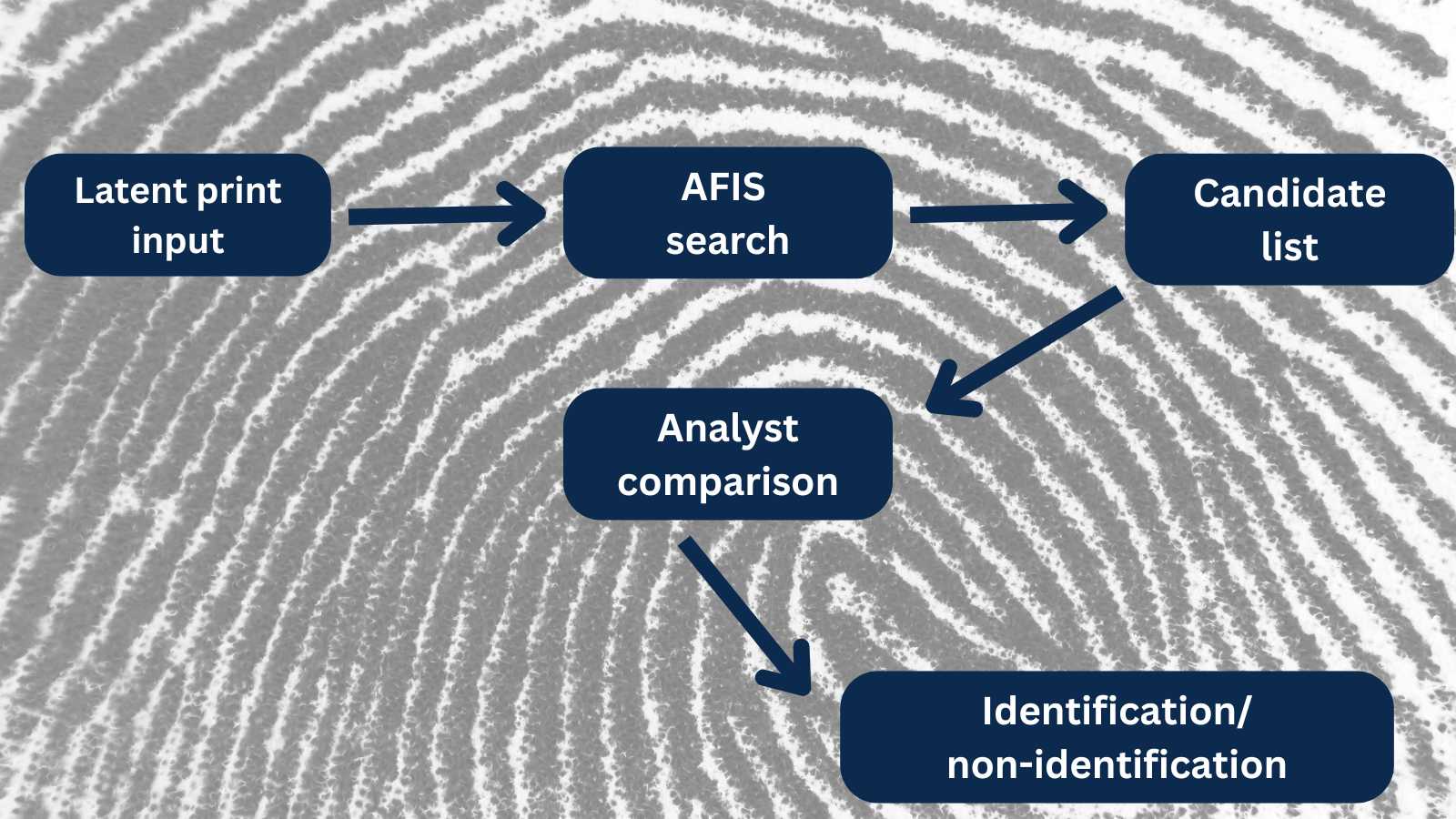 Flow chart maps fingerprint analysis work flow