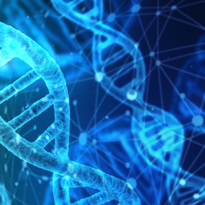 animated dna strands