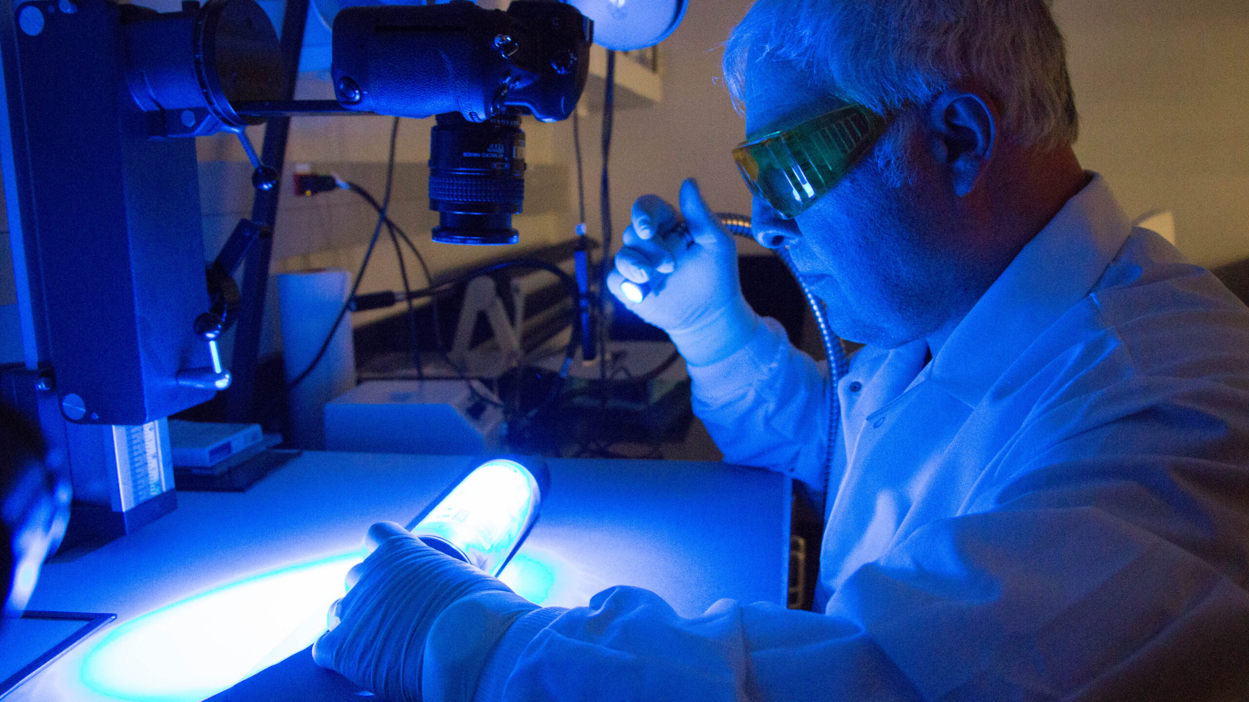 A fingerprint analyst uses UV light to view latent prints