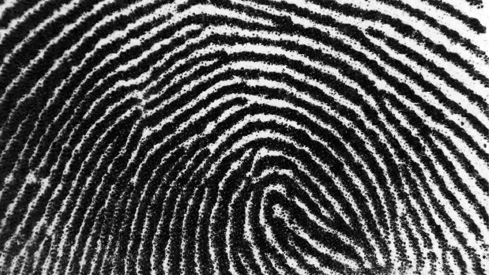 Black and white fingerprint imprint