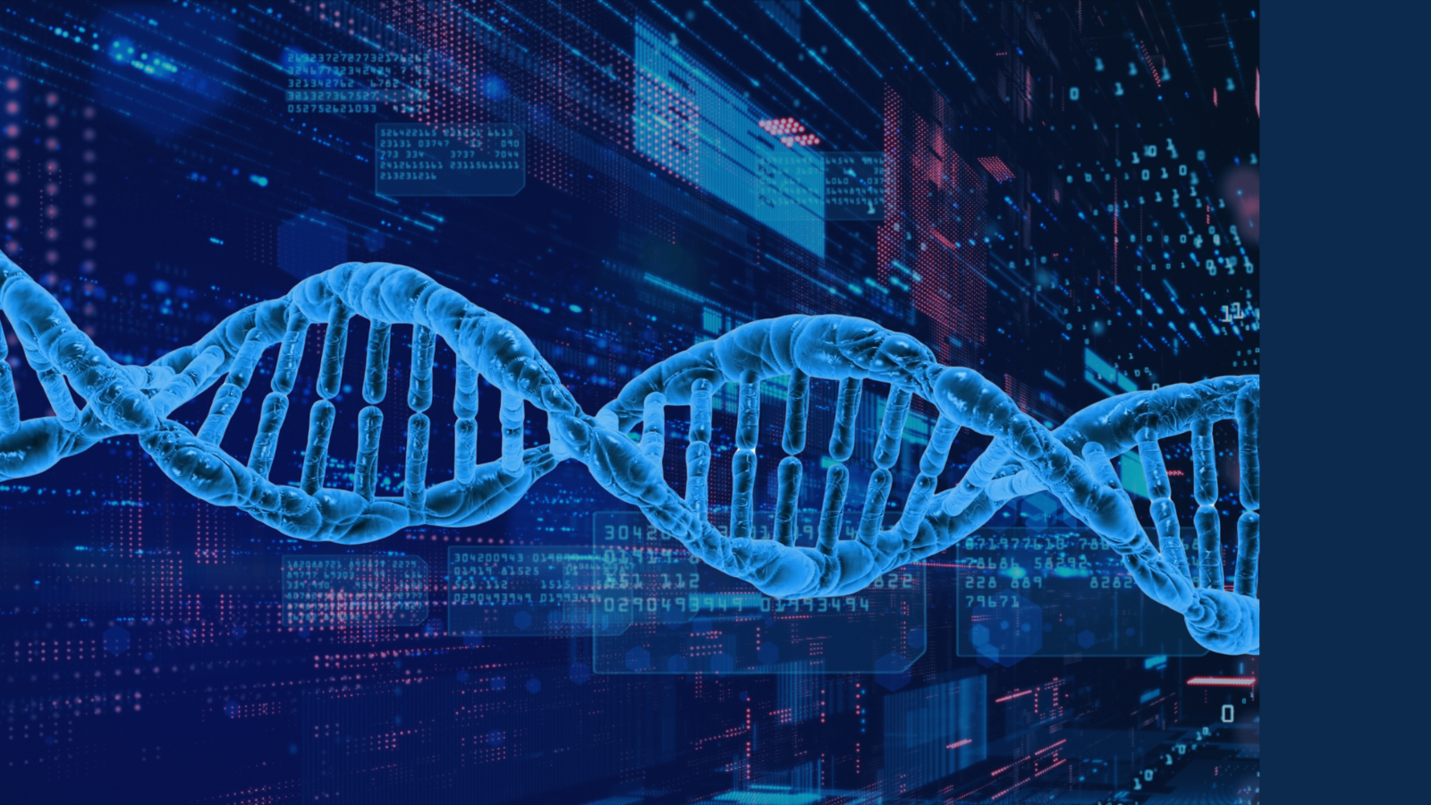Animated image of a database is overlaid with animated image of DNA